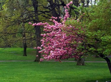 4-30 change of season