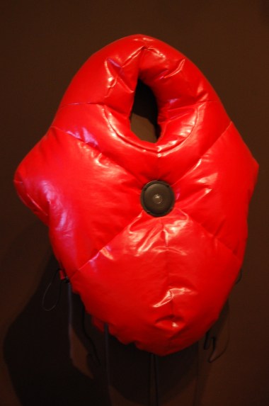 12-23 ralph borland suited for subversion