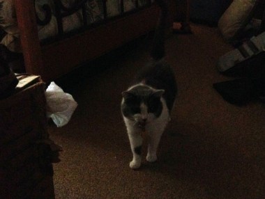 7-29 rare glimpse of lady