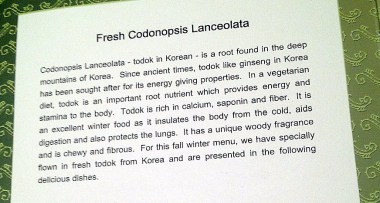 The menu heavily promoted a seasonal special -- todok, a root I've never heard of.