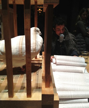 12-28 pigeons and reader