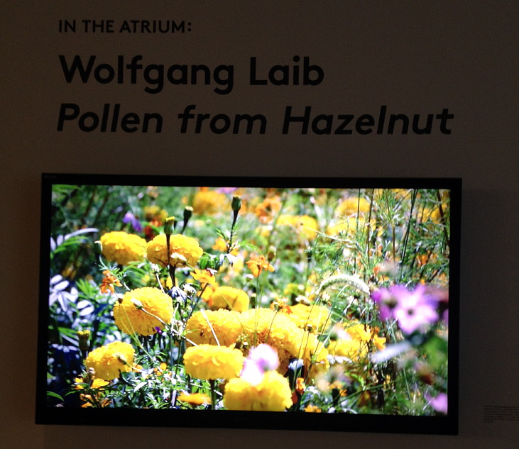 turns out to be a square of pollen laid down by Wolfgang Leib