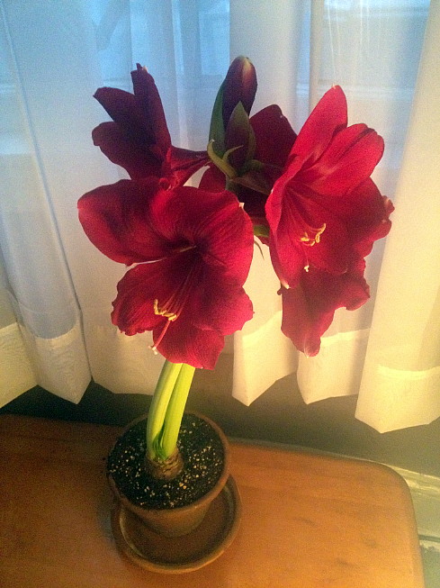 getting more explosive every day