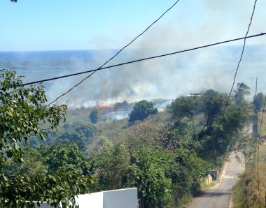 fires are fascinating but scary -- certainly frightened the horses
