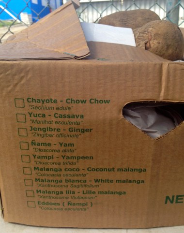 I love seeing local produce -- we got ambitious and bought some chayote (aka chow chow)