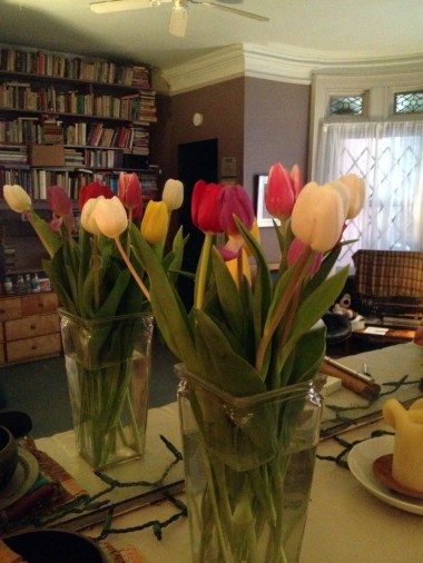 the tulips are filling in with colorful blossoms