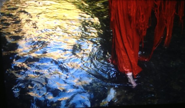 still from Gilles Bourdos's film RENOIR