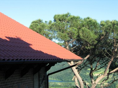 on a clear day, the light gilds everything