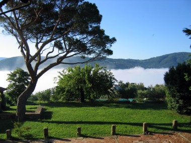 I woke to this view of morning fog.