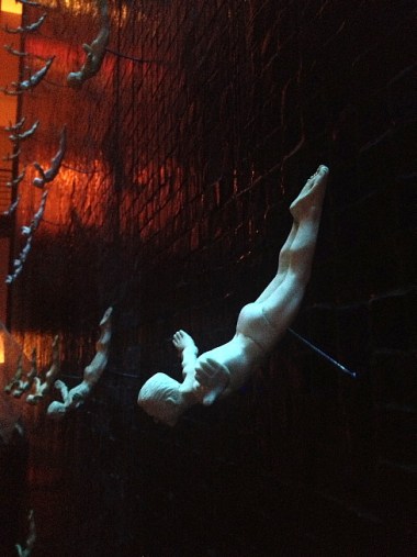 wall of divers at Rosa Mexicano