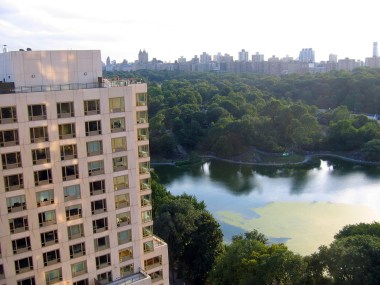 speaking of windows and backyards -- here's the view from Home and Leng's apartment at 110 and Fifth Avenue