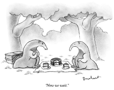 anteaters cartoon