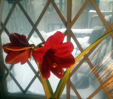 2-18 fire in the snow