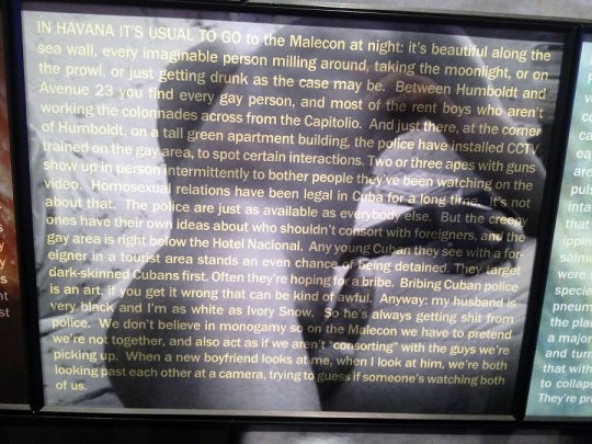 3-8 gary indiana piece