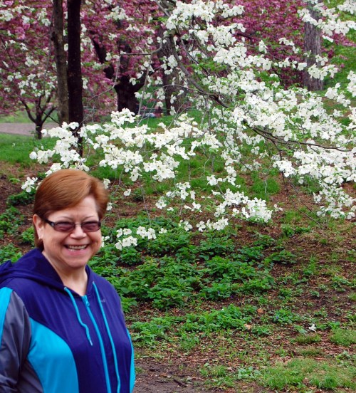 5-9 jo and cherry trees