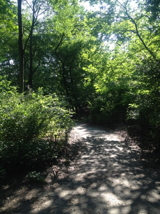 sacred triangle in the Rambles