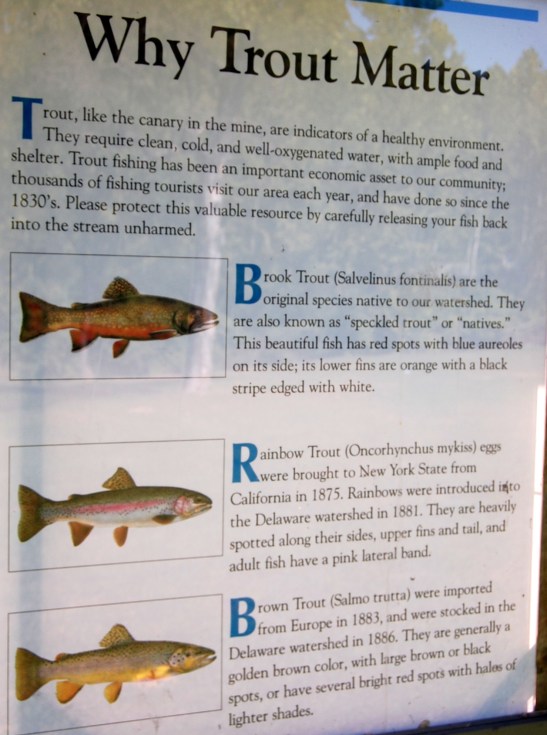 9-19 why trout matter