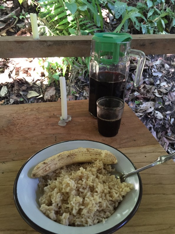 10-18 jungle breakfast 2