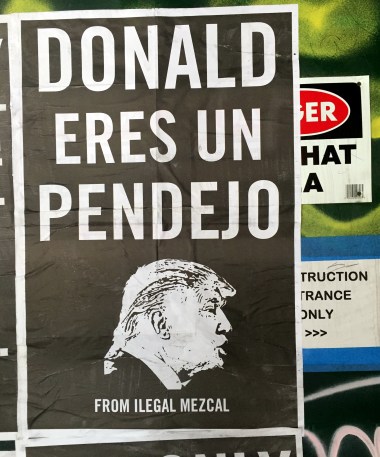 7-18 donald eres un pendejo