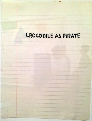 8-16 crocodile as pirate