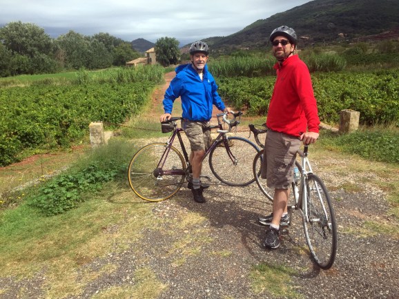 9-15 bike ride thru wine country