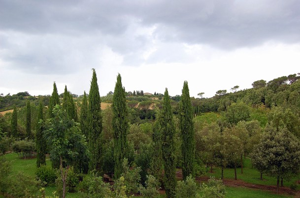 6-12 il tribbio viewed from il bosco