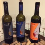 6-13 sasso di sole&nbsp;product