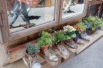 6-17 boot planters