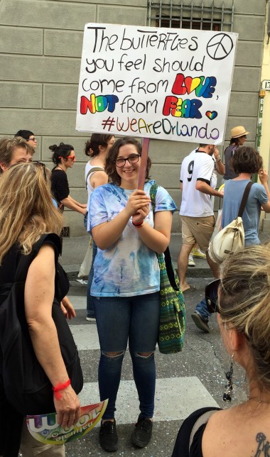 6-18 butterflies poster