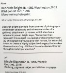 5-18 eisenman wall&nbsp;info