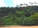 2-8 lush hillside secret&nbsp;beach